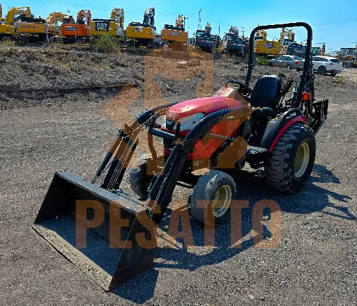 2019 YANMAR SA24 4WD